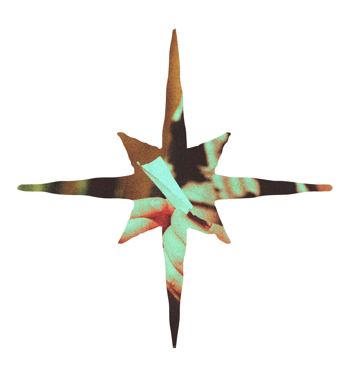 Cannablyss-Webstuff-02